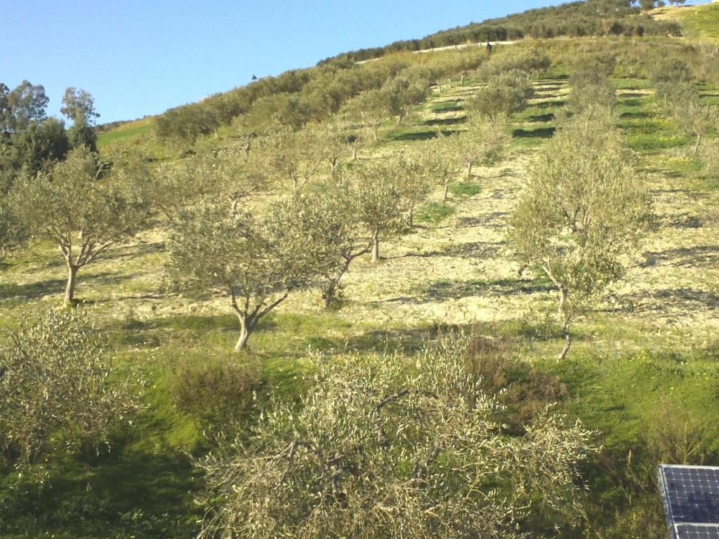 Agriturismo Due Ganèe Villa Agrigento Exterior foto